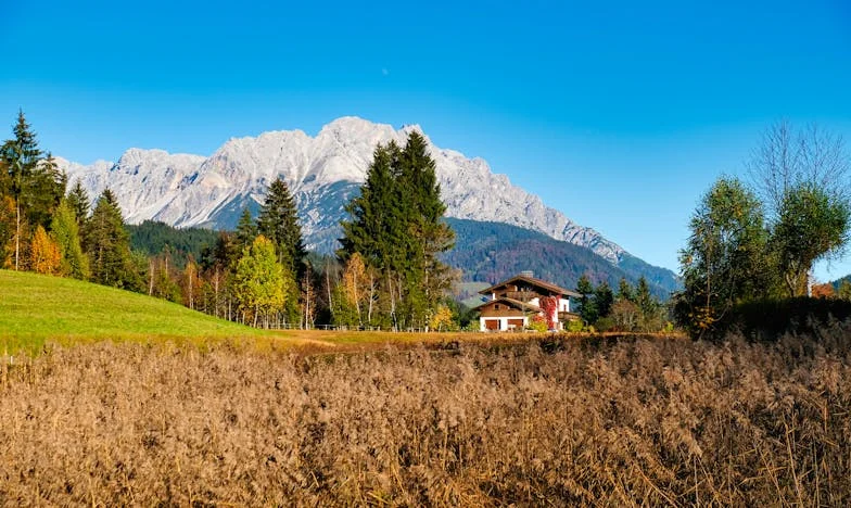 "J'ai rénové leur chalet abandonné, maintenant ils le veulent de retour"